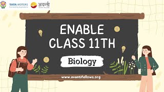 Class 11Photosynthesis in higher plants part 1 [upl. by Etteb]