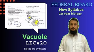 Vacuole  Vacuole structure and function  class 11 [upl. by Rosel]