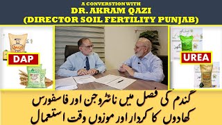 NITROGEN amp PHOSPHORUS FERTILIZERS IN WHEAT  DR AKRAM QAZI DIR SOIL FERTILITY PUNJAB  Part 2 [upl. by Marinelli]