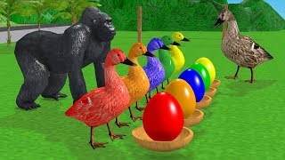 Learn Colors with Farm Animals for Children Ducks and SurpriseEggsBaby Goose Cartoon [upl. by Ace]