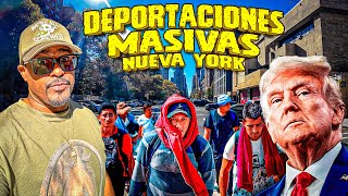 Asi estan las calles de Nueva york despues del trinfo de Donald trump  Hay miedo a ser deportado [upl. by Teirtza370]