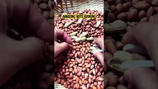 Amazing nuts husking🍀 trending farming music mirumirutv6666 AwitTv fruitdecoration4295 [upl. by Tomchay]