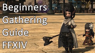 Beginners Guide To Gathering Level 80  FFXIV [upl. by Sheela]