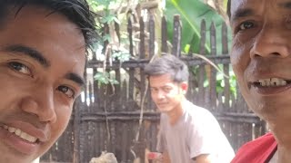 Raymundo Dacoba Vlogs is live next project from team kalingap [upl. by Bradwell792]