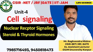 Nuclear Receptor Signaling  Steroids and Thyroid Hormone Signaling  Cellular communication  L9 [upl. by Araes612]