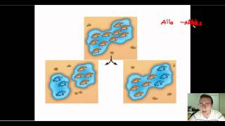 Speciation Part 1 Allopatric vs Sympatric [upl. by Drofnats]