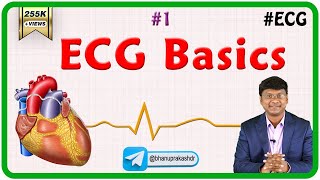 1 ECG Basics  ECG assessment and ECG interpretation made easy [upl. by Einnov]