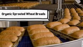 What Is Sprouted Wheat Alvarado Street Bakery [upl. by Eniahs475]