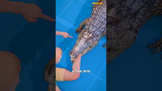 How To Escape An Alligator Death Roll😨shorts [upl. by Saidee]