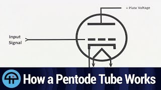 How a Pentode Tube Works [upl. by Anivlac]