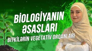 Biologiyanın əsasları bitkilərin vegetativ orqanları [upl. by Proulx]