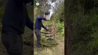 Watching the video will make you feel refreshed yardcleaning extremelycomfortable weed remover [upl. by Atsirtal164]