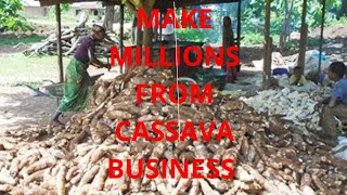 The Ultimate Guide to Profitable Cassava Farming in Nigeria [upl. by Aissenav975]