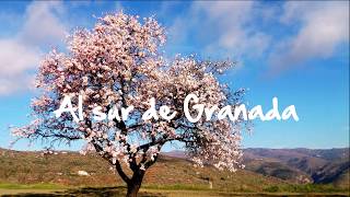 Almendros en flor AL SUR DE GRANADA [upl. by Terchie]