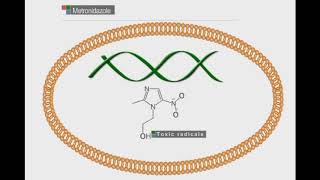 Metronidazole animation video [upl. by Einon]