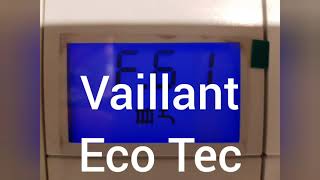 Vaillant Eco Tec F61 how to fix [upl. by Castro]