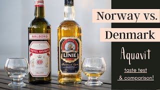 What Does Aquavit Taste Like  AQUAVIT TASTE TEST [upl. by Cooperman161]