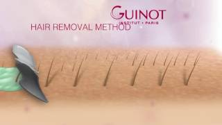 Animation GUINOT Method Epilation 2016 [upl. by Koenig206]