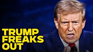 Trump Freaks Out About Being Fact Checked By Fox News [upl. by Traweek]