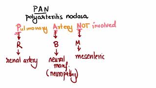 Polyarteritis nodosa PAN Mnemonic [upl. by Arbmat]