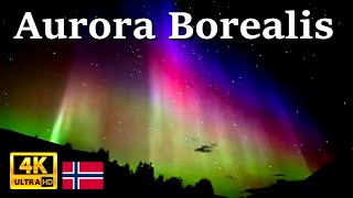 Aurora Borealis in Norway 2024 4K UHD [upl. by Dahc679]