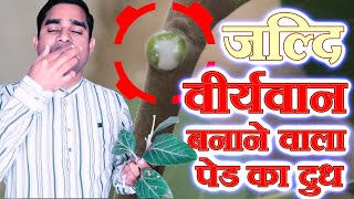 Organic Tree Milk Solution For Man Power And Brahmacharya [upl. by Gelhar]