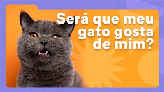 Como saber se o gato gosta de você  Petz TV Comportamento [upl. by Adnaval]