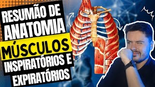 Anatomia dos Músculos Inspiratórios e Expiratórios [upl. by Nauwaj823]