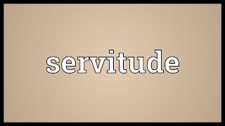 Servitude Meaning [upl. by Berkly]