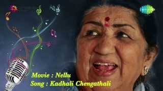 Kadhali Chengathali song  Nellu [upl. by Yila257]