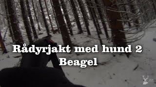 Rådyrjakt med hund 2 [upl. by Dasteel]