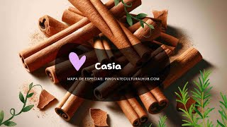 Cinnamomum cassia [upl. by Harp]