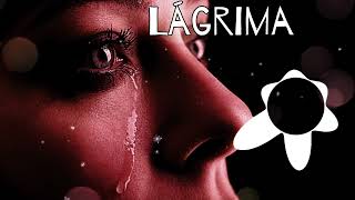 free afrobeat kizomba type beat  Lágrima  2024 [upl. by Lenes44]