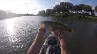 Pedernales River Bass Fishing [upl. by Airpac192]