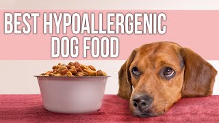 5 Best Hypoallergenic Dog Food for Allergies [upl. by Imogene]