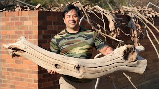 💡Talented Woodworker Using a Uniquely Curved Branch to Create a Striking Focal Point for the Table [upl. by Hamnet63]