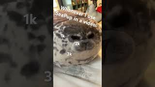 Whenever I use SeaPup in a video 💥seapup seadogs cute [upl. by Deste314]