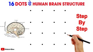 16 Dots की मदद से Human Brain Diagram  Human Brain Diagram Class 10  Human Brain Diagram Easy Step [upl. by Hulen948]