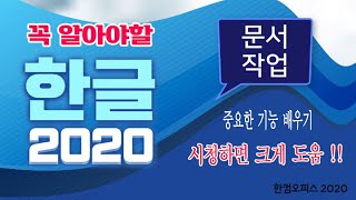 한글 프로그램 으로 문서작업 할때 꼭  꼭  알아야 하는 기능 및 실무 활용 팁을 아주 쉽게 알려 드립니다 [upl. by Goulden500]