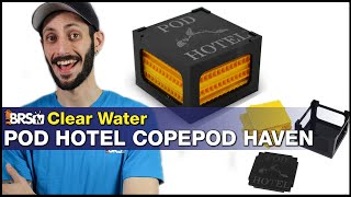 Do your copepods need a home Give them a Hotel Clear Water Pod Hotel Copepod Haven [upl. by Amaj503]