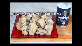 HOW TO CLEAN YOUR FRESH PIG FEET [upl. by Aivin]