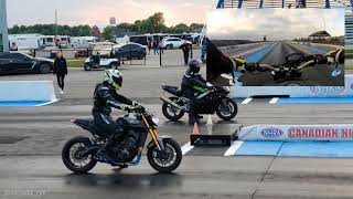 Yamaha FZ09 vs Ninja 600  Harley  Honda CBR  Ninja ZX10  TMP Motorcycle Drag Races [upl. by Christenson]