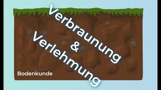 Bodenkunde verstehen – Verlehmung und Verbraunung [upl. by Belloir]