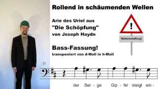 Rollend in schäumenden Wellen  Haydn  Die Schöpfung  Bass Arie  Homevideo [upl. by Enimzzaj]