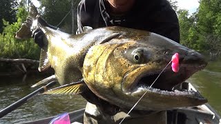 Skein Biting King Salmon  UNREAL RIVER BOBBER DOWNS [upl. by Reinhold883]