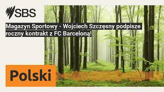 Magazyn Sportowy  Wojciech Szczęsny podpisze roczny kontrakt z FC Barceloną  SBS Polish  SBS [upl. by Gillmore]