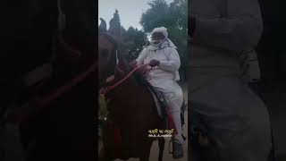 શોખ મા ઉંમર નો જોવાય  હા ઘોડી હા અહવાર horse horseridind horseing horsefan horselover horseb [upl. by Zoba38]