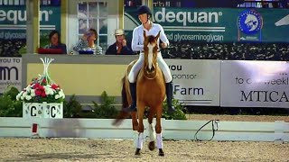 Mustang Demo at the 2014 Adequan Global Dressage Festival [upl. by Ahsinhoj]