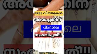 പണികിട്ടിയ Free seeds അടുക്കളത്തോട്ടം adukkalathottam seeds online krishi plants [upl. by Lebatsirc]