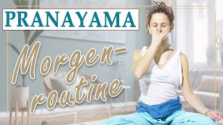 Pranayama  10 Minuten Wechselatmung  Yoga Vidya Ashram [upl. by Lyrem762]